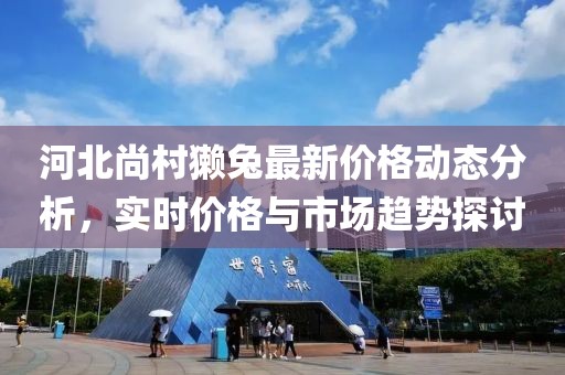 河北尚村獺兔最新價(jià)格動(dòng)態(tài)分析，實(shí)時(shí)價(jià)格與市場(chǎng)趨勢(shì)探討