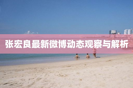 張宏良最新微博動態(tài)觀察與解析