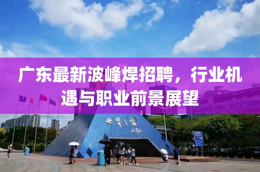 廣東最新波峰焊招聘，行業(yè)機遇與職業(yè)前景展望