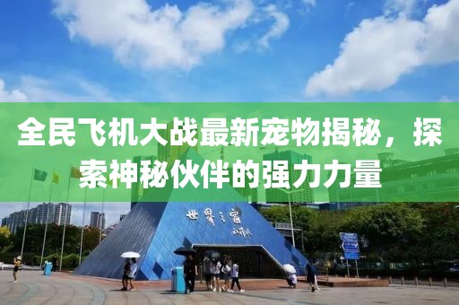 全民飛機(jī)大戰(zhàn)最新寵物揭秘，探索神秘伙伴的強(qiáng)力力量