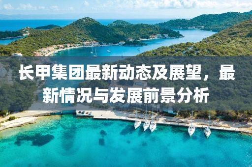 長甲集團最新動態(tài)及展望，最新情況與發(fā)展前景分析