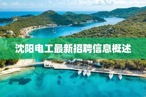 沈陽(yáng)電工最新招聘信息概述