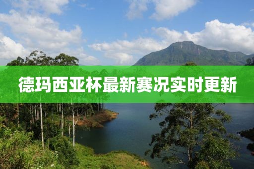 德瑪西亞杯最新賽況實(shí)時(shí)更新