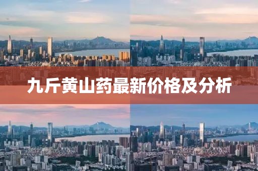 九斤黃山藥最新價格及分析
