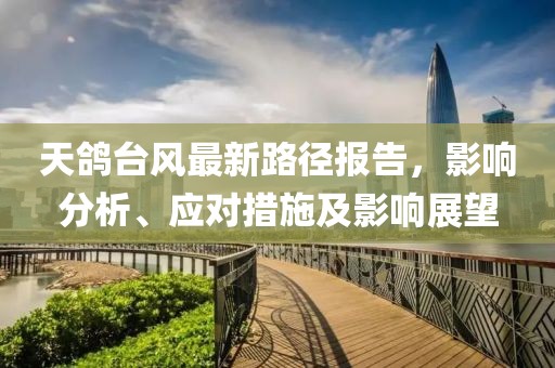 天鴿臺風最新路徑報告，影響分析、應對措施及影響展望
