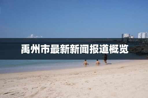 禹州市最新新聞報道概覽