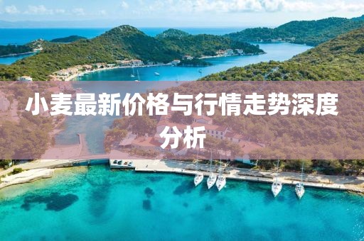 小麥最新價格與行情走勢深度分析