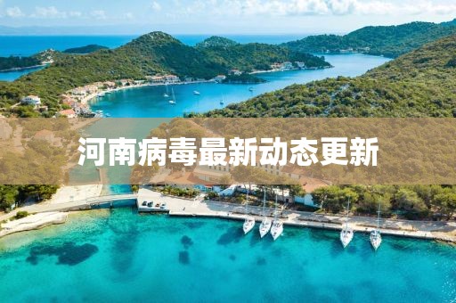 河南病毒最新動態(tài)更新