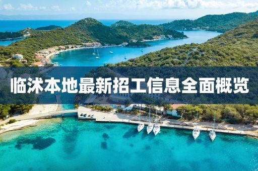臨沭本地最新招工信息全面概覽
