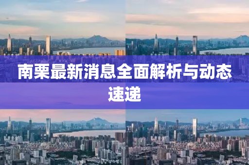 南栗最新消息全面解析與動(dòng)態(tài)速遞