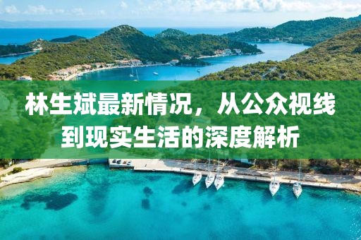 林生斌最新情況，從公眾視線到現(xiàn)實生活的深度解析