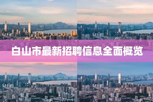 白山市最新招聘信息全面概覽