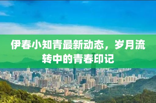 伊春小知青最新動(dòng)態(tài)，歲月流轉(zhuǎn)中的青春印記