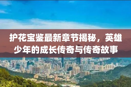護(hù)花寶鑒最新章節(jié)揭秘，英雄少年的成長傳奇與傳奇故事