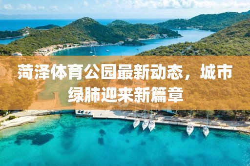 菏澤體育公園最新動態(tài)，城市綠肺迎來新篇章