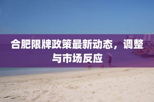 合肥限牌政策最新動(dòng)態(tài)，調(diào)整與市場(chǎng)反應(yīng)