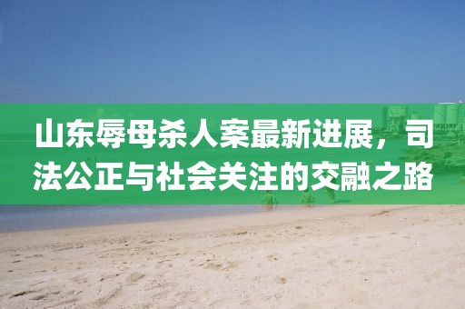 山東辱母殺人案最新進(jìn)展，司法公正與社會關(guān)注的交融之路