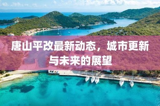 涼城空 第11頁