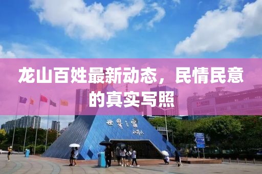 龍山百姓最新動態(tài)，民情民意的真實寫照