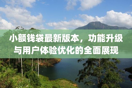 小額錢袋最新版本，功能升級(jí)與用戶體驗(yàn)優(yōu)化的全面展現(xiàn)