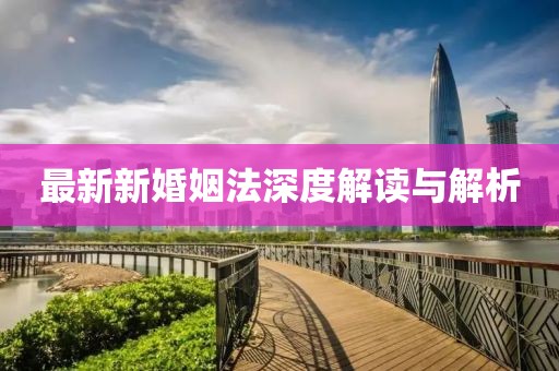 最新新婚姻法深度解讀與解析