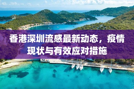 香港深圳流感最新動態(tài)，疫情現(xiàn)狀與有效應(yīng)對措施