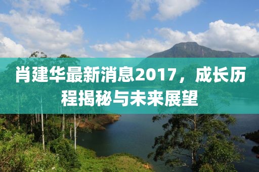 肖建華最新消息2017，成長歷程揭秘與未來展望