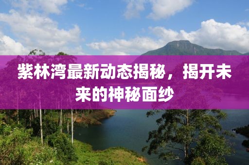 紫林灣最新動(dòng)態(tài)揭秘，揭開未來的神秘面紗