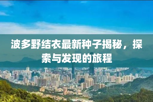 波多野結(jié)衣最新種子揭秘，探索與發(fā)現(xiàn)的旅程