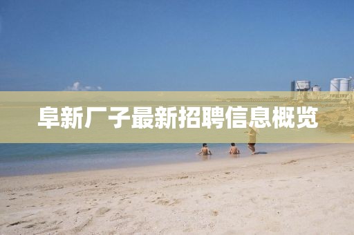 阜新廠子最新招聘信息概覽