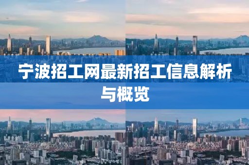 寧波招工網(wǎng)最新招工信息解析與概覽