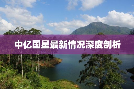 中億國(guó)星最新情況深度剖析