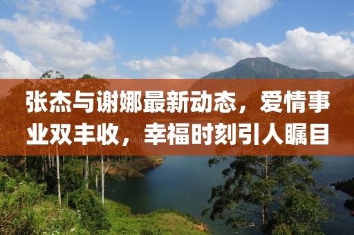 張杰與謝娜最新動(dòng)態(tài)，愛情事業(yè)雙豐收，幸福時(shí)刻引人矚目