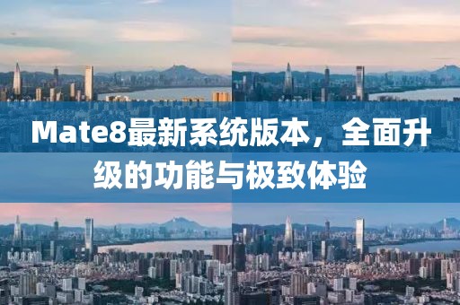 難忘懷 第11頁