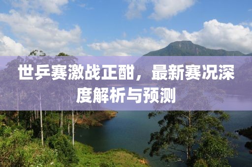 世乒賽激戰(zhàn)正酣，最新賽況深度解析與預(yù)測