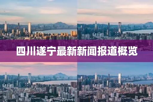 四川遂寧最新新聞報道概覽