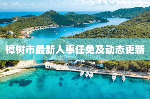 樟樹市最新人事任免及動(dòng)態(tài)更新