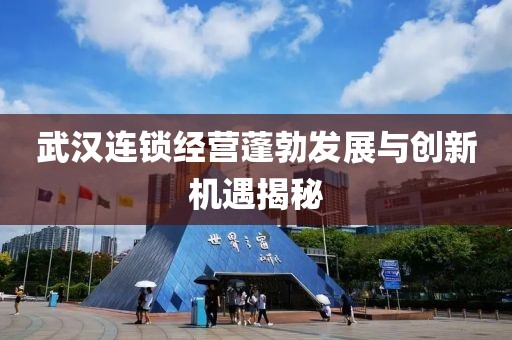 武漢連鎖經(jīng)營蓬勃發(fā)展與創(chuàng)新機遇揭秘