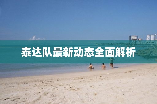 泰達隊最新動態(tài)全面解析