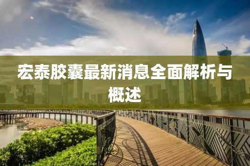 宏泰膠囊最新消息全面解析與概述