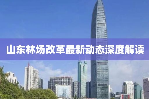 山東林場改革最新動態(tài)深度解讀