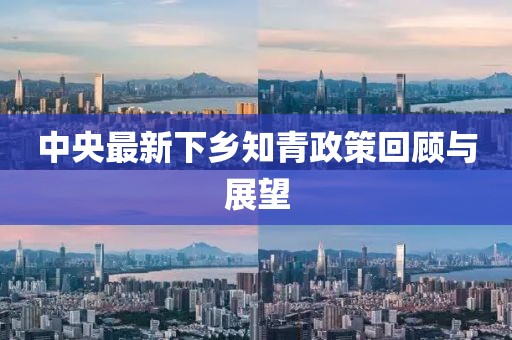 中央最新下鄉(xiāng)知青政策回顧與展望