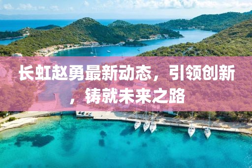 長虹趙勇最新動態(tài)，引領(lǐng)創(chuàng)新，鑄就未來之路