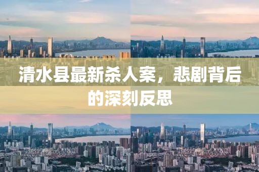 清水縣最新殺人案，悲劇背后的深刻反思