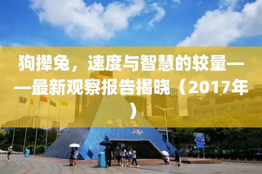 狗攆兔，速度與智慧的較量——最新觀察報告揭曉（2017年）