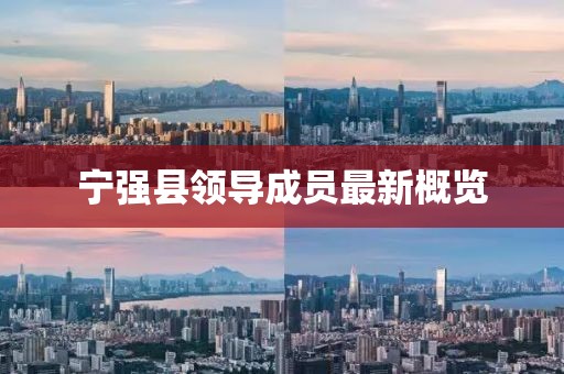 寧強(qiáng)縣領(lǐng)導(dǎo)成員最新概覽