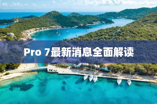 Pro 7最新消息全面解讀