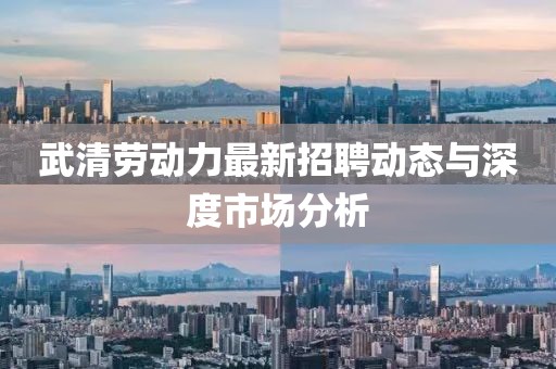 武清勞動(dòng)力最新招聘動(dòng)態(tài)與深度市場分析
