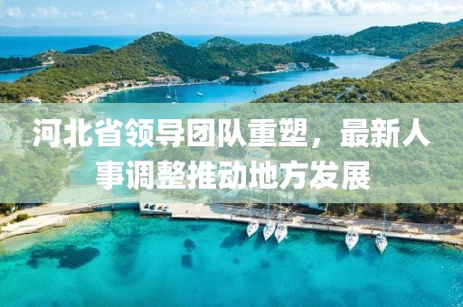 河北省領(lǐng)導(dǎo)團(tuán)隊(duì)重塑，最新人事調(diào)整推動(dòng)地方發(fā)展