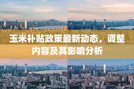 玉米補貼政策最新動態(tài)，調(diào)整內(nèi)容及其影響分析